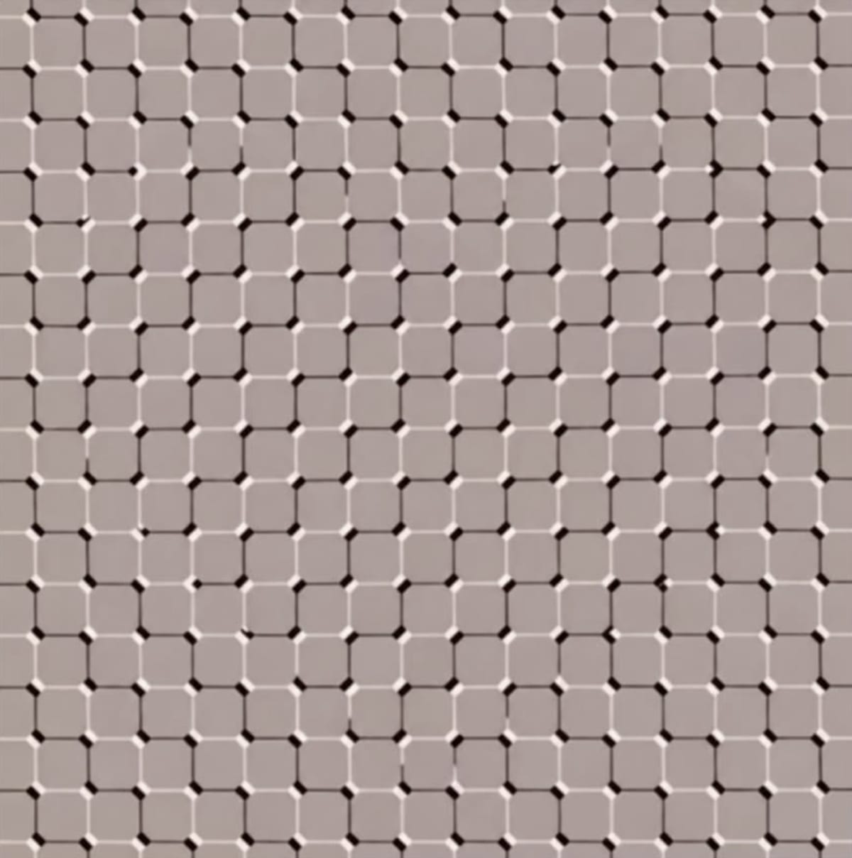 4 numbered choices for: Look at the picture for a few seconds. What seems to move?